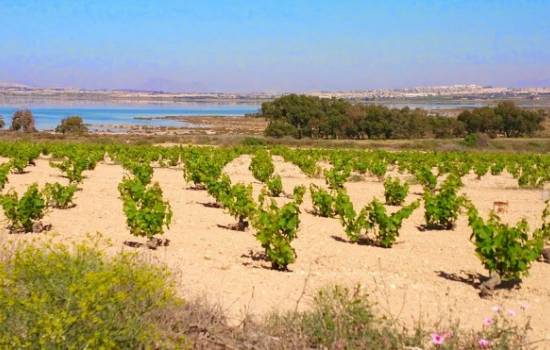 ​Eco-tourism routes launched in La Mata, Torrevieja, Costa Blanca, Spain