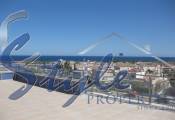 Commercial - Commercial Property - Punta Marina