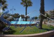 Alquiler corta estancia - Apartamento - Torrevieja  - Torrevieja