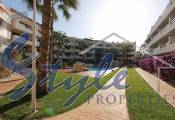 Reventa - Apartamento - Playa Flamenca