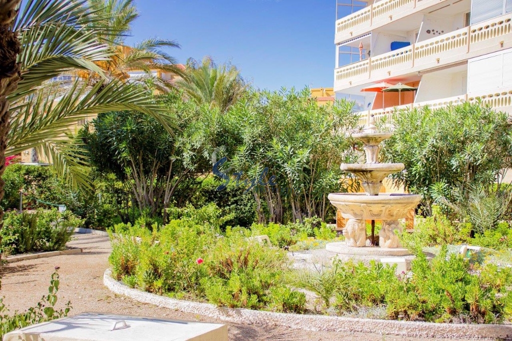 Resale - Apartment - La Mata