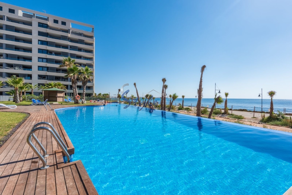 Nuevo - Apartamento - Torrevieja  - Torrevieja