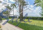Unique First Line Property for sale in Punta Prima, Costa Blanca South, Spain ID 3747