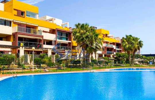 Apartment - Resale - Playa Flamenca - Playa Flamenca