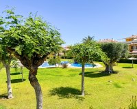Alquiler corta estancia - Apartamento - Playa Flamenca - Zeniamar