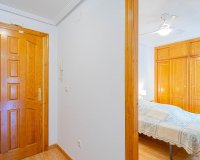 Alquiler corta estancia - Apartamento - Playa Flamenca