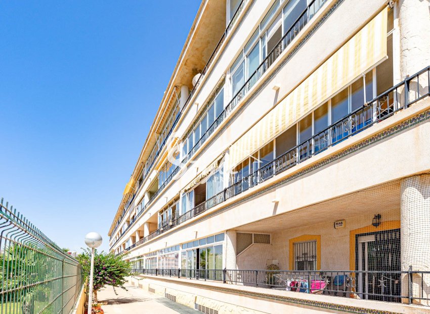 Alquiler corta estancia - Apartamento - Playa Flamenca