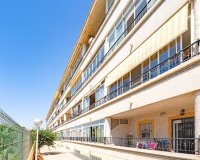 Alquiler corta estancia - Apartamento - Playa Flamenca