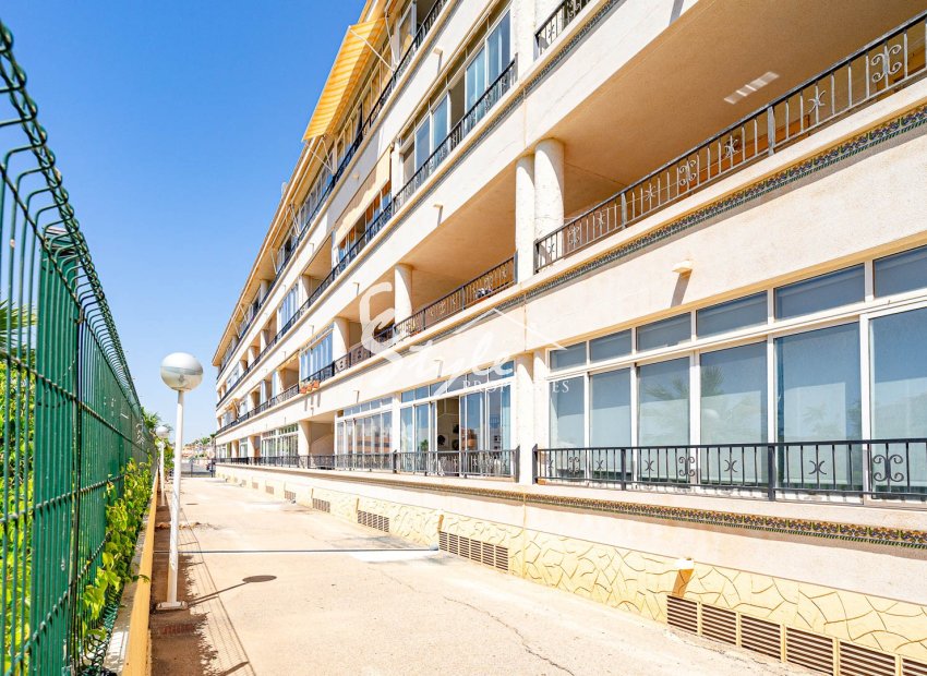Alquiler corta estancia - Apartamento - Playa Flamenca
