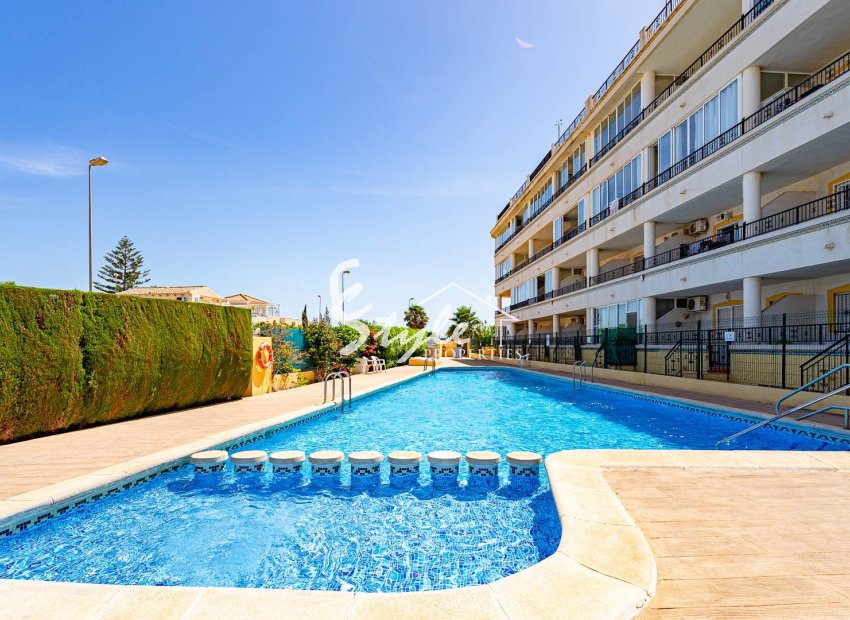 Alquiler corta estancia - Apartamento - Playa Flamenca