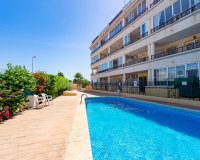 Alquiler corta estancia - Apartamento - Playa Flamenca
