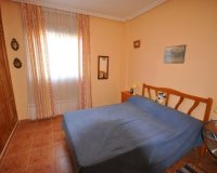 Alquiler corta estancia - Apartamento - Punta Prima - La Ciñuelica