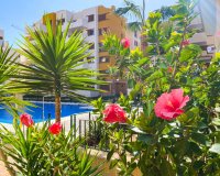 Alquiler corta estancia - Apartamento - Punta Prima - La Recoleta
