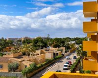 Alquiler corta estancia - Apartamento - Punta Prima - La Recoleta