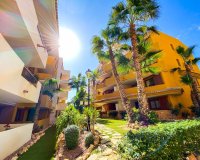 Alquiler corta estancia - Apartamento - Punta Prima - La Recoleta