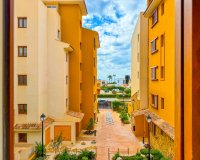 Alquiler corta estancia - Apartamento - Punta Prima - La Recoleta