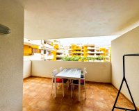 Alquiler corta estancia - Apartamento - Punta Prima - La Recoleta