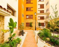 Alquiler corta estancia - Apartamento - Punta Prima - La Recoleta