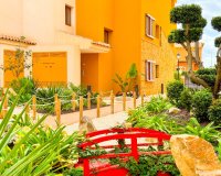 Alquiler corta estancia - Apartamento - Punta Prima - La Recoleta