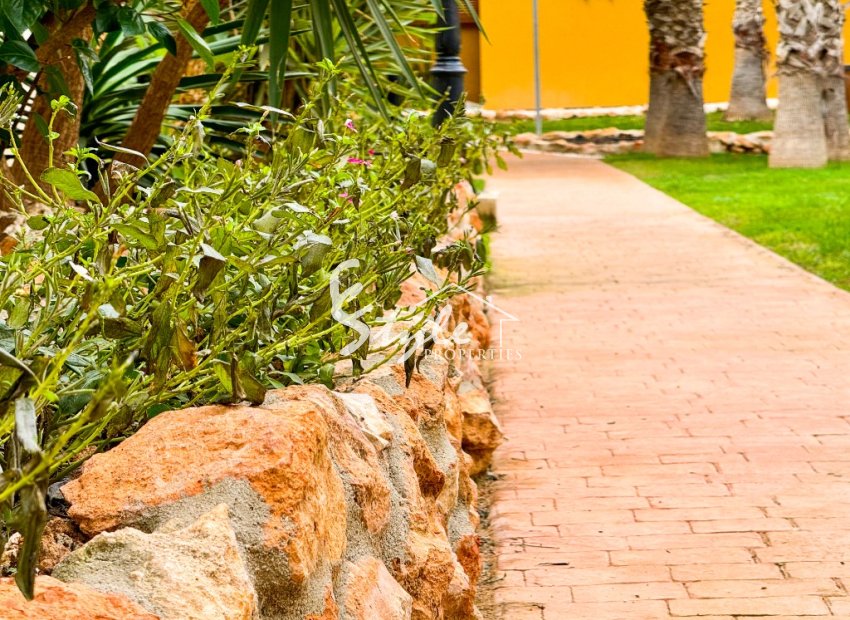 Alquiler corta estancia - Apartamento - Punta Prima - La Recoleta