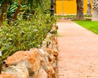 Alquiler corta estancia - Apartamento - Punta Prima - La Recoleta