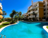 Alquiler corta estancia - Apartamento - Punta Prima - Panorama Park