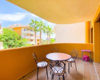 Alquiler corta estancia - Apartamento - Punta Prima - Panorama Park