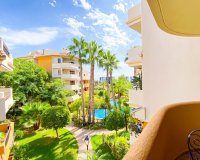 Alquiler corta estancia - Apartamento - Punta Prima - Panorama Park