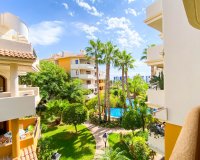 Alquiler corta estancia - Apartamento - Punta Prima - Panorama Park