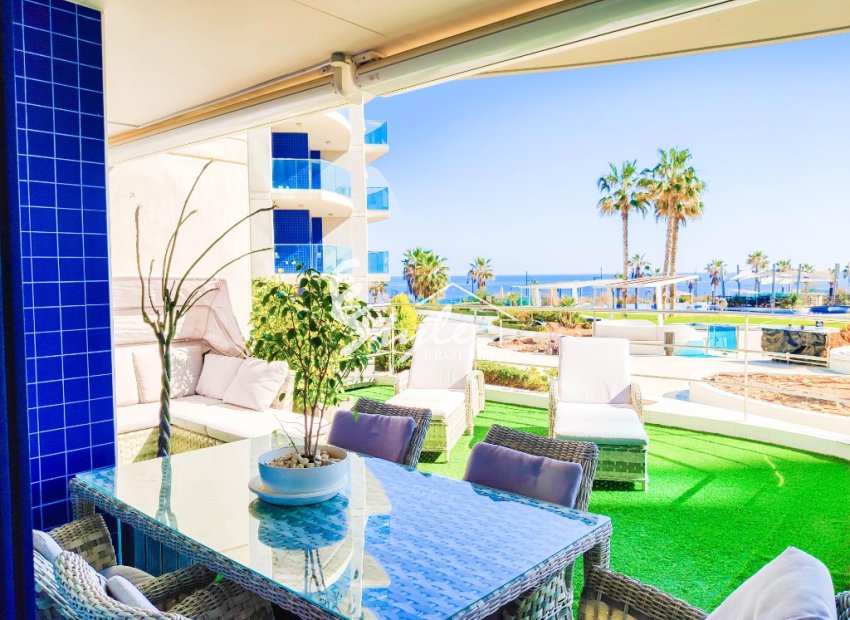 Alquiler corta estancia - Apartamento - Punta Prima - Sea Senses