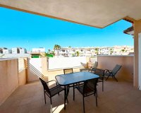 Alquiler corta estancia - Apartamento - Punta Prima