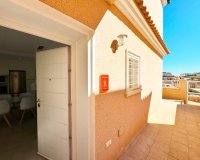 Alquiler corta estancia - Apartamento - Punta Prima
