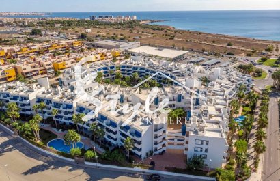 Apartamento - Reventa - Playa Flamenca - Playa Flamenca
