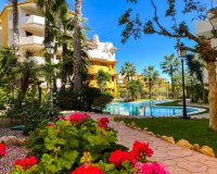 Apartments for rent near the sea in Panorama Park, Punta Prima, Costa Blanca. ID095