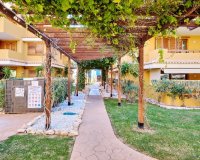 Аренда - Apartamento - Пунта Прима - Ла Энтрада