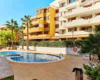 Аренда - Apartamento - Пунта Прима - Ла Энтрада