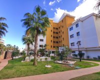 Аренда - Apartamento - Пунта Прима - Ла Энтрада