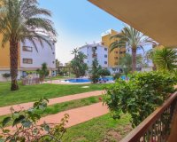 Аренда - Apartamento - Пунта Прима - Ла Энтрада