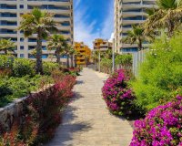 Аренда - Apartamento - Пунта Прима - Панорама Мар