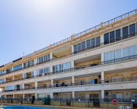 Аренда - Квартира - Плайя Фламенка - Playa Flamenca