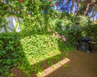 Аренда - Townhouse - Пунта Прима