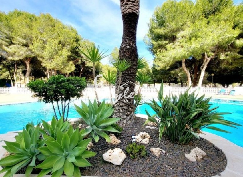 Buy Apartment with sea view in Dehesa de Campoamor, Orihuela Costa. ID: 6321