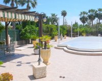 Comprar finca con una gran parcela en Dolores, Costa Blanca. ID: 4063