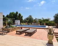 Comprar finca con una gran parcela en Los Montesinos, Costa Blanca. ID: 4165
