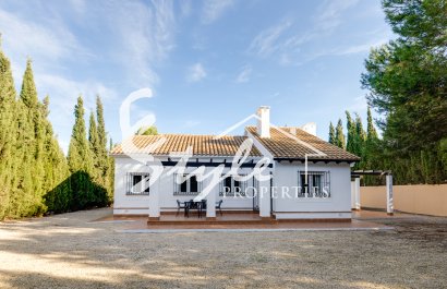 Detached - New build - Fuente Alamo - Fuente Alamo