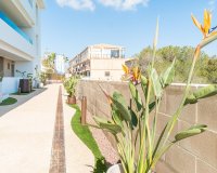 Долгосрочная аренда - Apartamento - Orihuela-Costa - Playa Flamenca