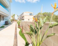 Долгосрочная аренда - Apartamento - Orihuela-Costa - Playa Flamenca