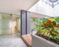 Долгосрочная аренда - Commercial - Orihuela-Costa - Playa Flamenca