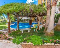 For rent 1 bedroom apartment near the sea Punta Prima, Costa Blanca, Spain. ID097
