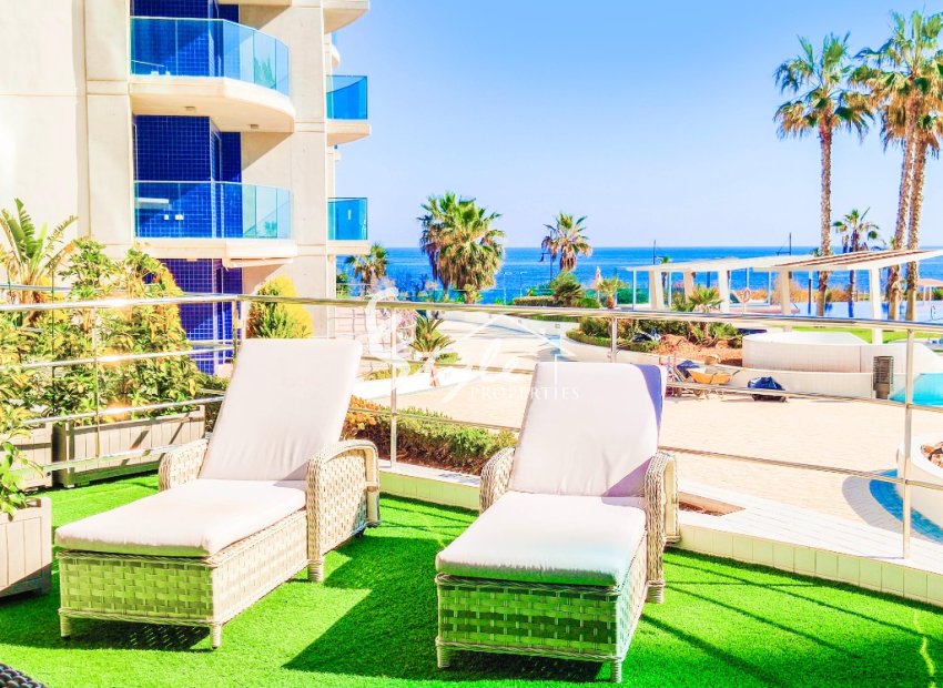 For rent apartment on the first line in Sea Senses, Punta Prima, Costa Blanca. ID105